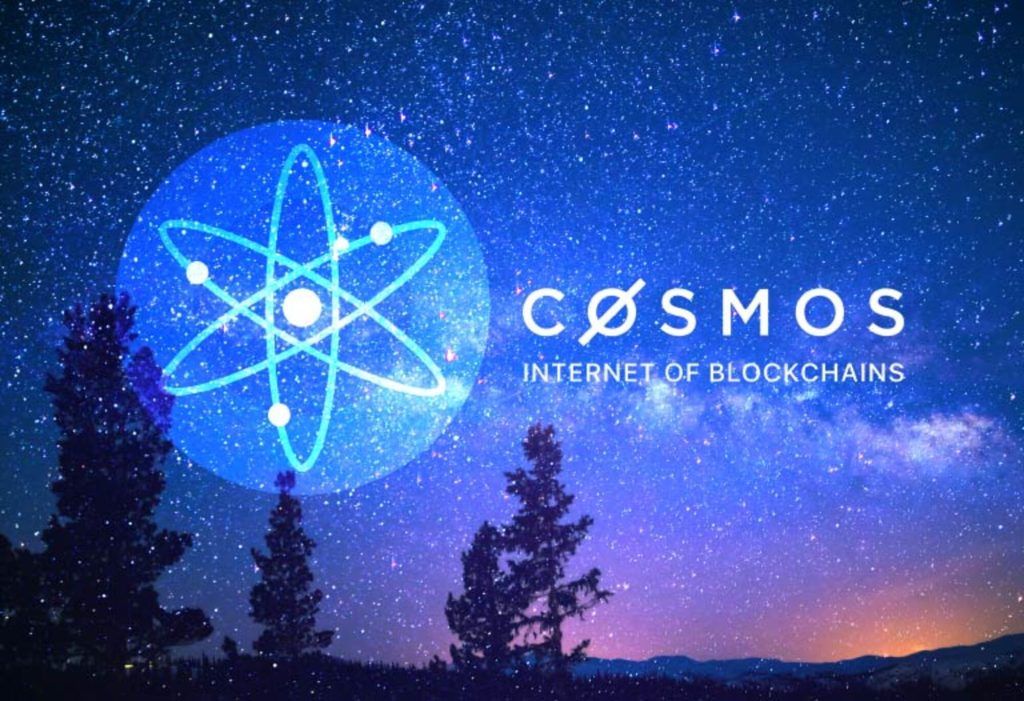 Cosmos
